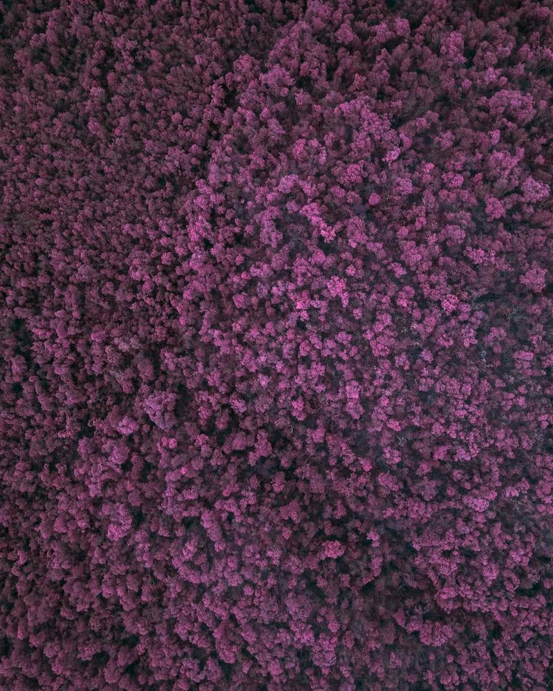 Folio Grid Silk