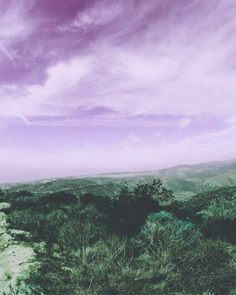 Edit Cur Pant