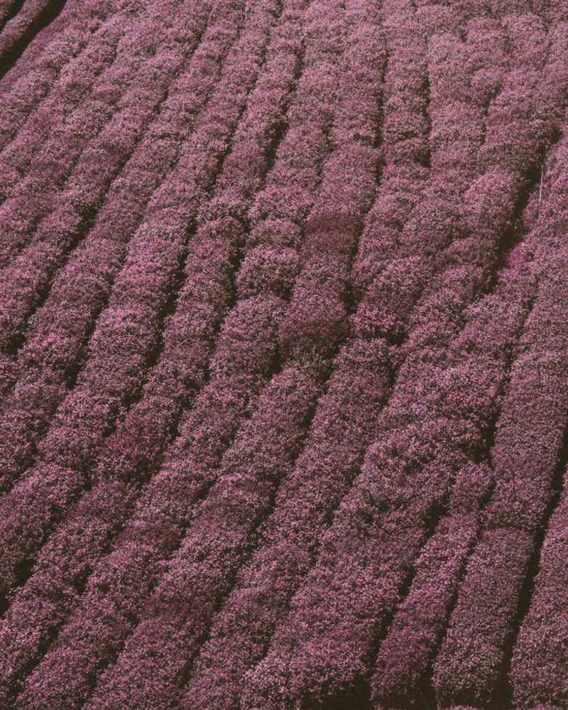 Cmp Hyb Knit